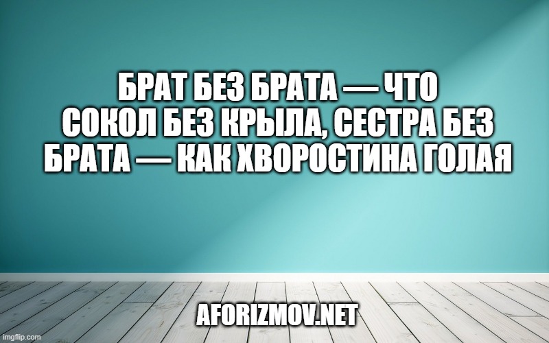 Брат без брата — что сокол без крыла, сестра без брата — как хворостина голая