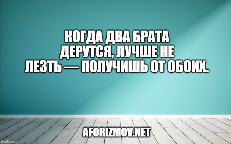 Когда два брата дерутся, лучше не лезть — получишь от обоих.