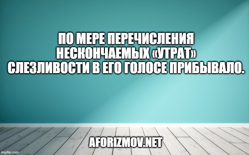 По мере перечисления нескончаемых «утрат» слезливости в его голосе прибывало.