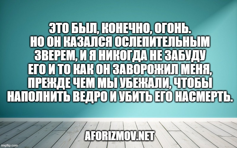 Это был, конечно, огонь. Но он казался ослепительным зверем, и я никогда не забуду его и то как он заворожил меня, прежде чем мы убежали, чтобы наполнить ведро и убить его насмерть.