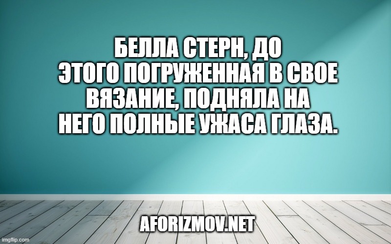 Белла Стерн, до этого погруженная в свое вязание, подняла на него полные ужаса глаза.