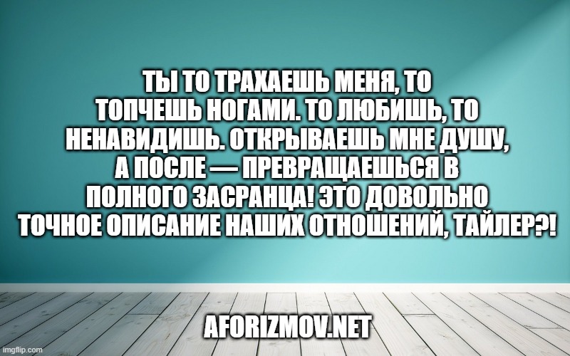 Ты то трахаешь меня, то топчешь ногами. То любишь, то ненавидишь. Открываешь мне душу, а после — превращаешься в полного засранца! Это довольно точное описание наших отношений, Тайлер?!