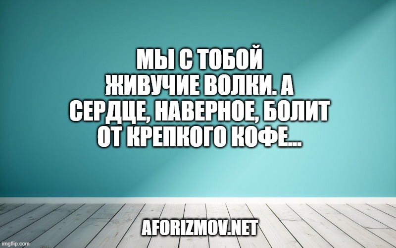Мы с тобой живучие волки. А сердце, наверное, болит от крепкого кофе...