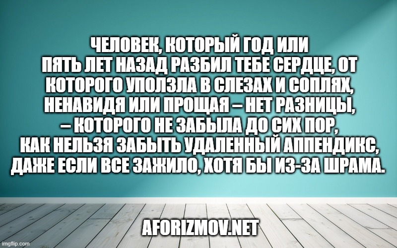 Человек, который год или пять лет назад разбил тебе сердце, от которого уползла в слезах и соплях, ненавидя или прощая – нет разницы, – которого не забыла до сих пор, как нельзя забыть удаленный аппендикс, даже если все зажило, хотя бы из-за шрама. 