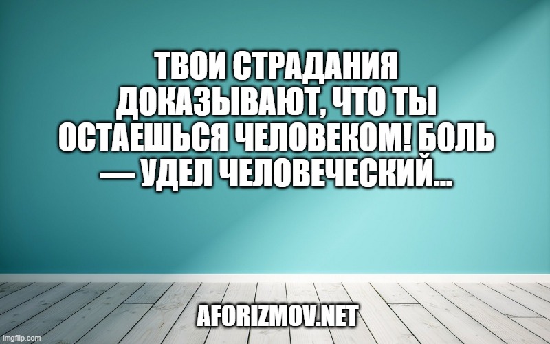 Твои страдания доказывают, что ты остаешься человеком! Боль — удел человеческий...