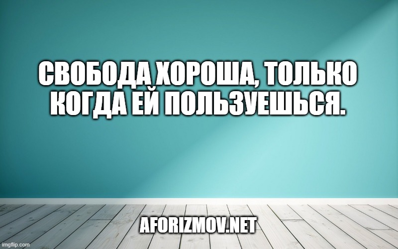 Свобода хороша, только когда ей пользуешься.
