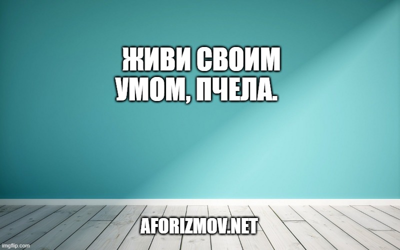  Живи своим умом, Пчела. 