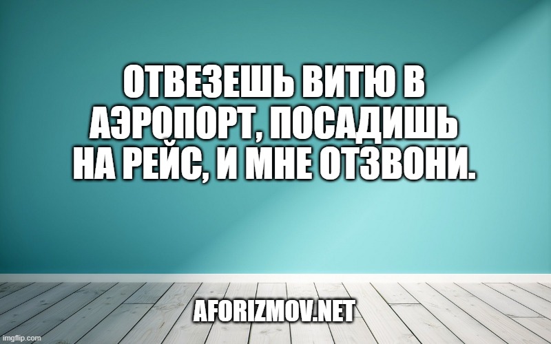Отвезешь Витю в аэропорт, посадишь на рейс, и мне отзвони.