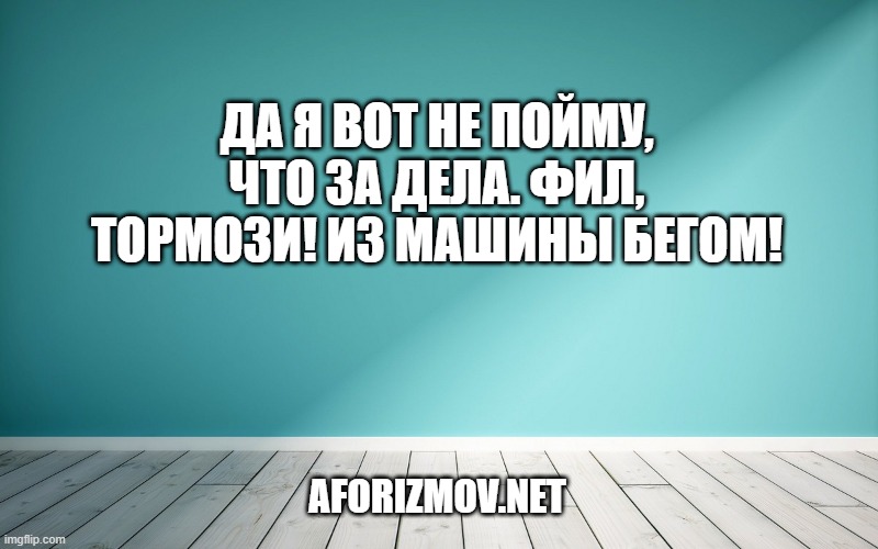 Да я вот не пойму, что за дела. Фил, тормози! Из машины бегом!