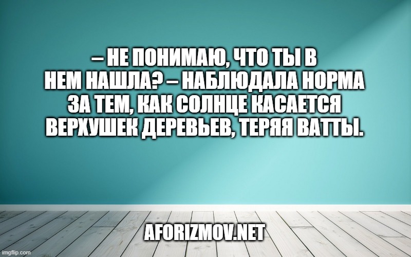 – Не понимаю, что ты в нем нашла? – наблюдала Норма за тем, как солнце касается верхушек деревьев, теряя ватты.