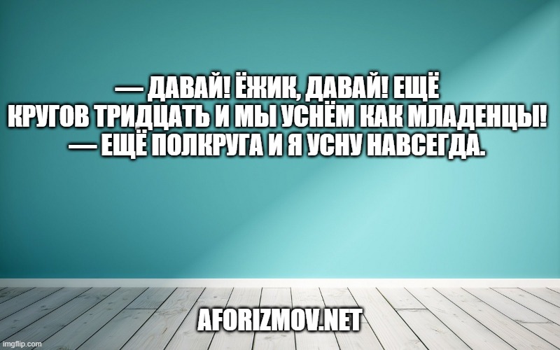 — Давай! Ёжик, давай! Ещё кругов тридцать и мы уснём как младенцы!
— Ещё полкруга и я усну навсегда.