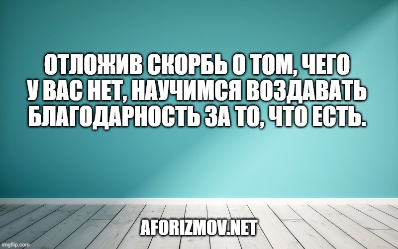 Отложив скорбь о том, чего у вас нет, научимся воздавать благодарность за то, что есть.