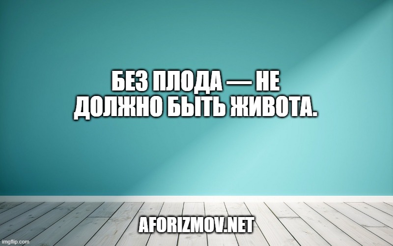 Без плода — не должно быть живота.