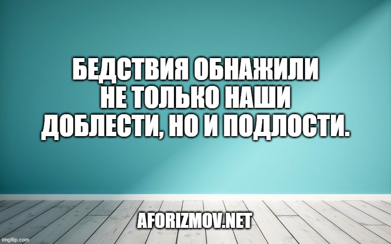 Бедствия обнажили не только наши доблести, но и подлости.