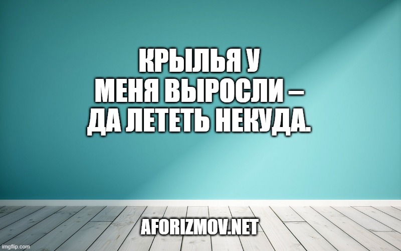 Крылья у меня выросли – да лететь некуда.