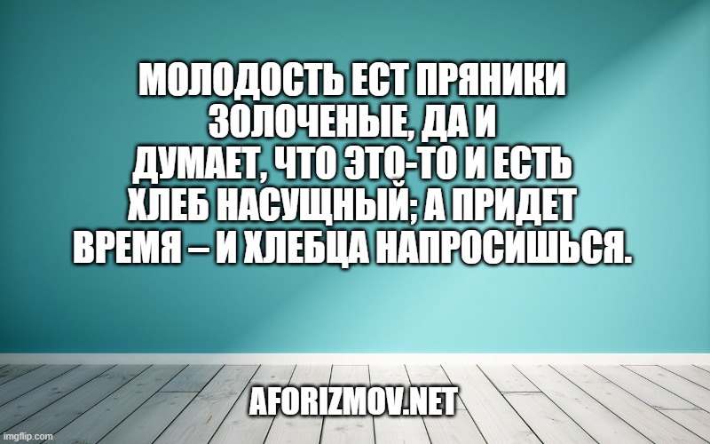 Молодость ест пряники золоченые, да и думает, что это-то и есть хлеб насущный; а придет время – и хлебца напросишься.