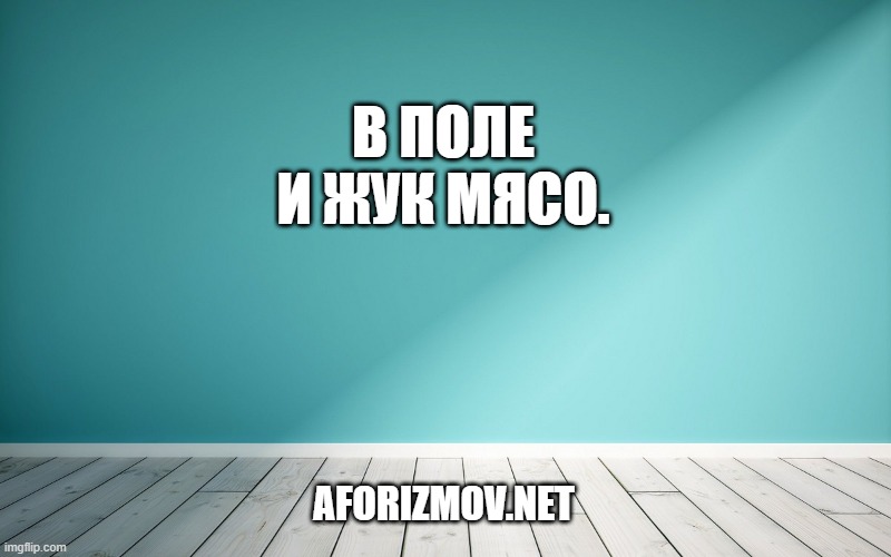 В поле и жук мясо.