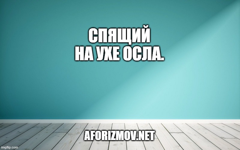 Спящий на ухе осла.