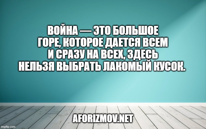 Война — это большое горе, которое дается всем и сразу на всех, здесь нельзя выбрать лакомый кусок. 