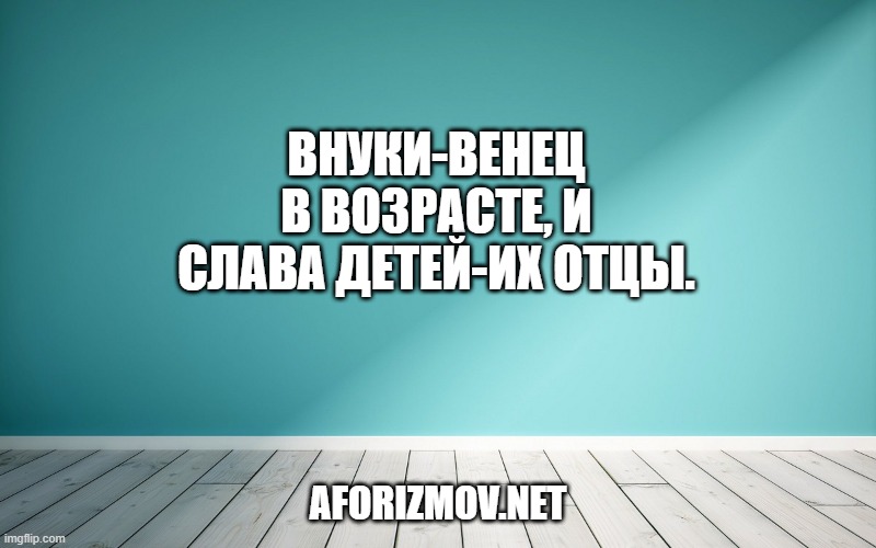 Внуки-венец в возрасте, и слава детей-их отцы.