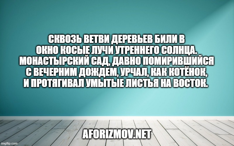Сквозь ветви деревьев били в окно косые лучи утреннего солнца. Монастырский сад, давно помирившийся с вечерним дождем, урчал, как котёнок, и протягивал умытые листья на восток.