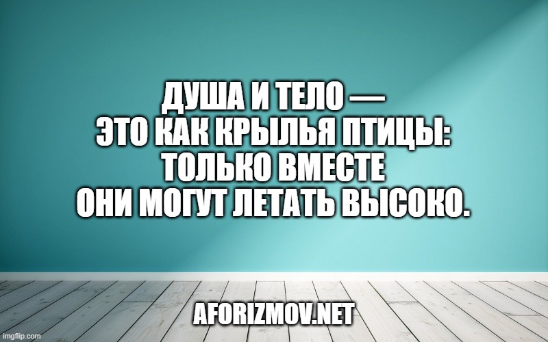 Душа и тело — это как крылья птицы: только вместе они могут летать высоко.