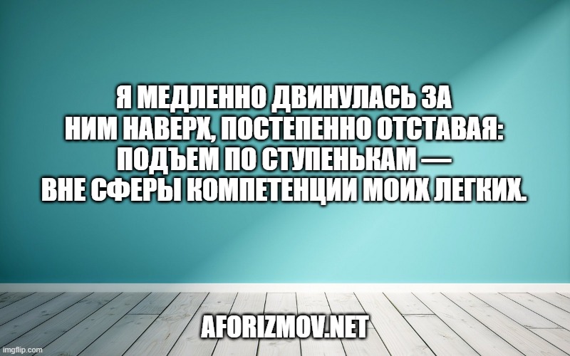 Я медленно двинулась за ним наверх, постепенно отставая: подъем по ступенькам — вне сферы компетенции моих легких.