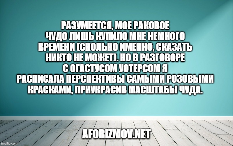 Разумеется, мое раковое чудо лишь купило мне немного времени (сколько именно, сказать никто не может). Но в разговоре с Огастусом Уотерсом я расписала перспективы самыми розовыми красками, приукрасив масштабы чуда.