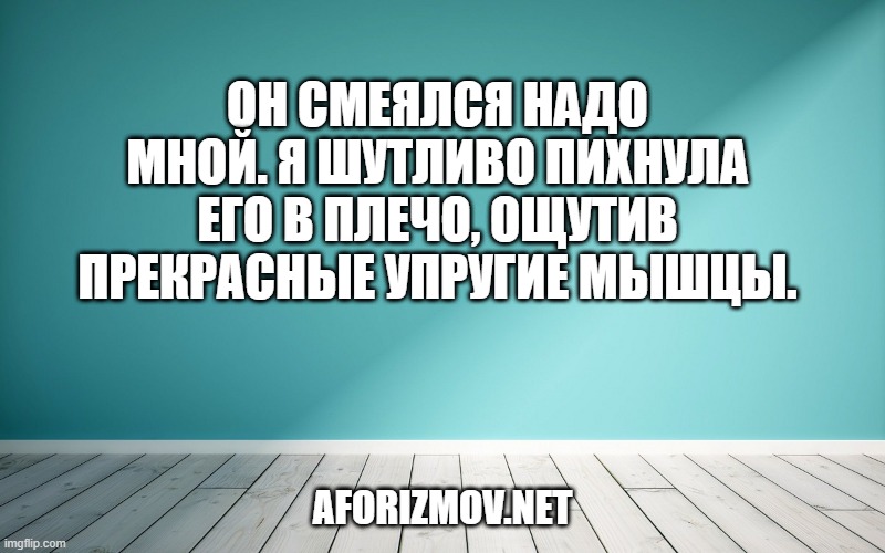 Он смеялся надо мной. Я шутливо пихнула его в плечо, ощутив прекрасные упругие мышцы.