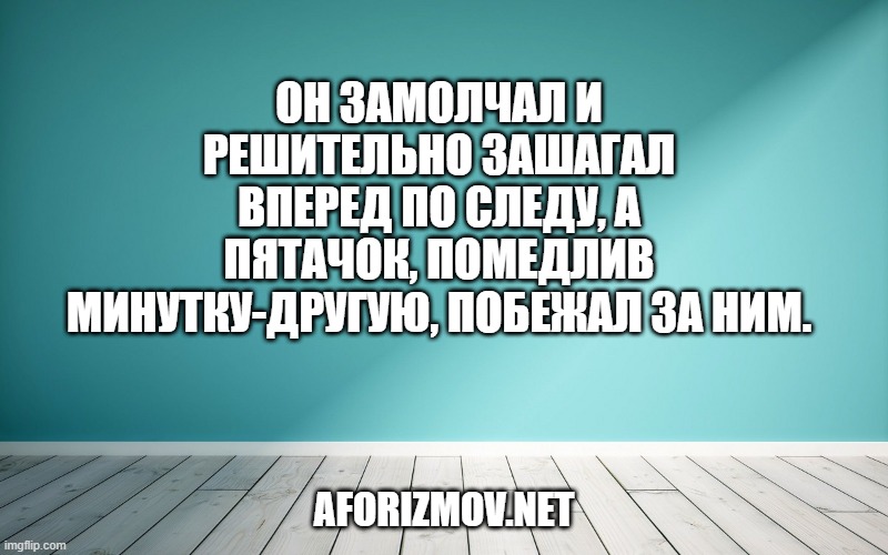 Он замолчал и решительно зашагал вперед по следу, а Пятачок, помедлив минутку-другую, побежал за ним.