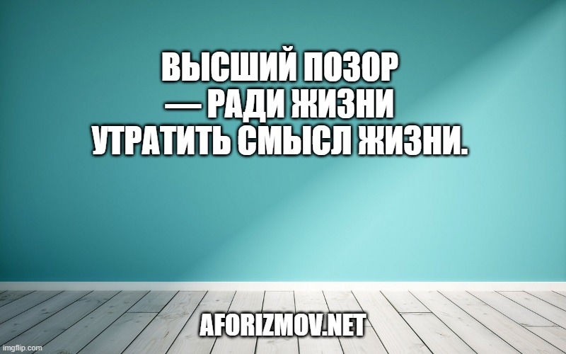 Высший позор — ради жизни утратить смысл жизни.
