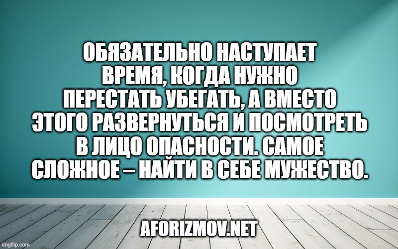 Обязательно наступает время, когда нужно перестать убегать, а вместо этого развернуться и посмотреть в лицо опасности. Самое сложное – найти в себе мужество.