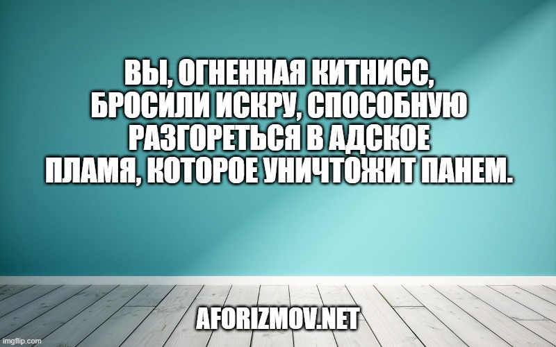 Вы, Огненная Китнисс, бросили искру, способную разгореться в адское пламя, которое уничтожит Панем.