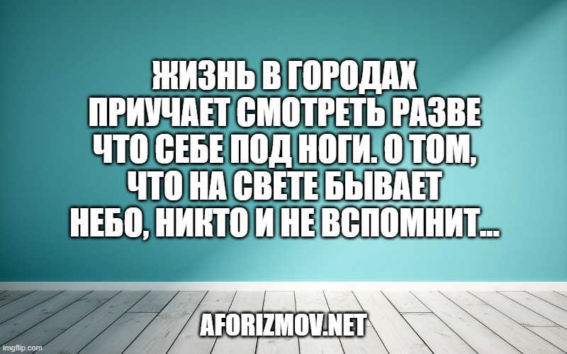 Жизнь в городах приучает смотреть разве что себе под ноги. О том, что на свете бывает небо, никто и не вспомнит...