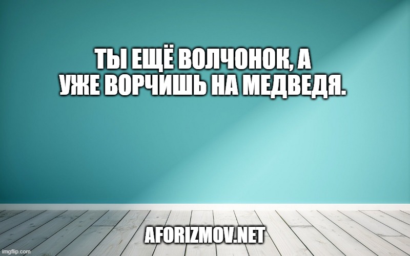 Ты ещё волчонок, а уже ворчишь на медведя.