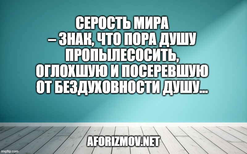 Серость мира – знак, что пора душу пропылесосить, оглохшую и посеревшую от бездуховности душу…