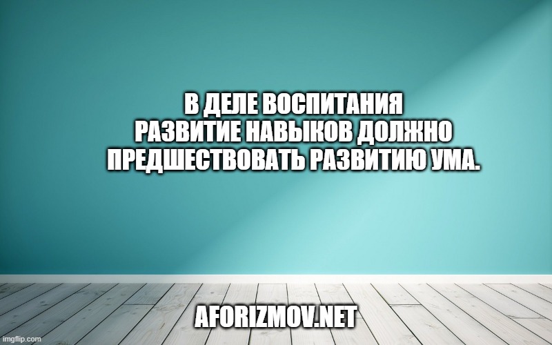 В деле воспитания развитие навыков должно предшествовать развитию ума.