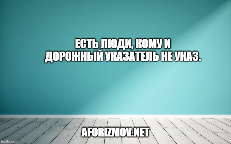 Есть люди, кому и дорожный указатель не указ.