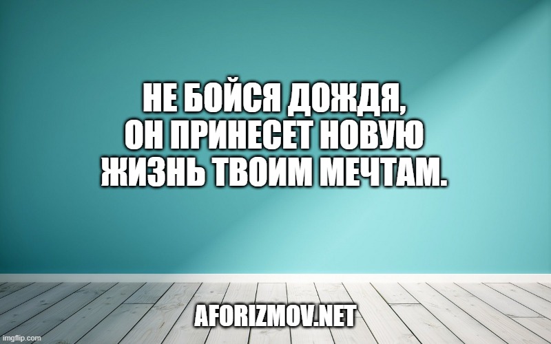 Не бойся дождя, он принесет новую жизнь твоим мечтам.