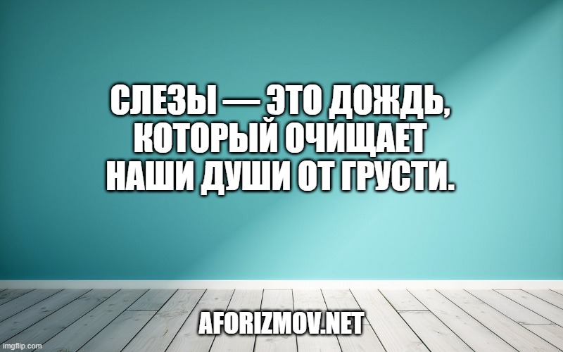 Слезы — это дождь, который очищает наши души от грусти.