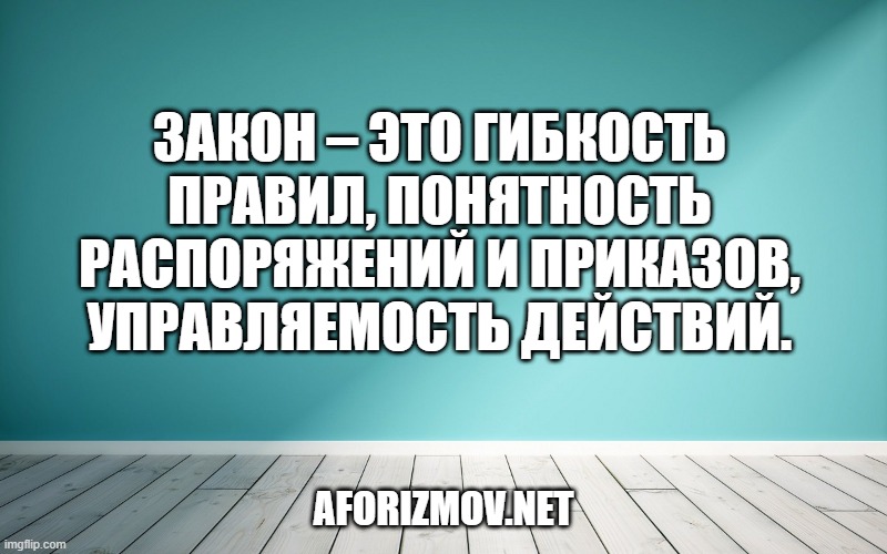 Закон – это гибкость правил, понятность распоряжений и приказов, управляемость действий.