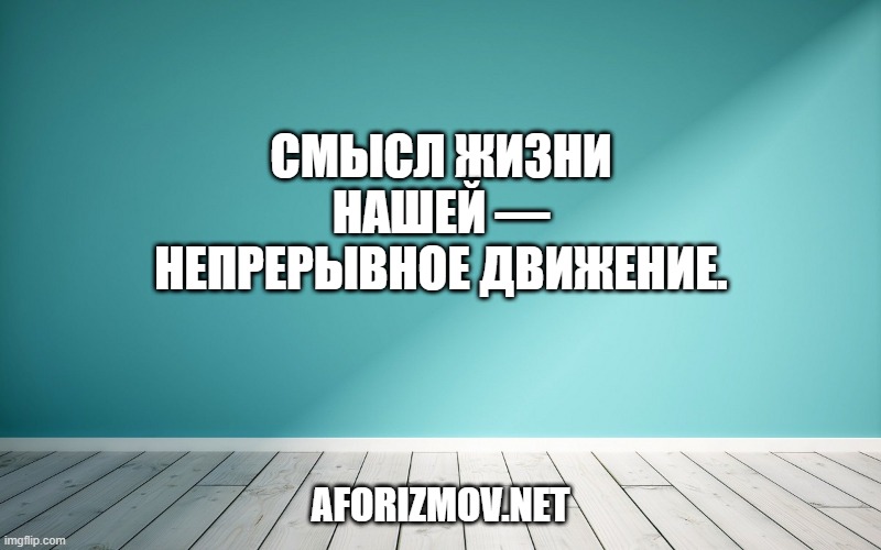 Смысл жизни нашей — непрерывное движение.