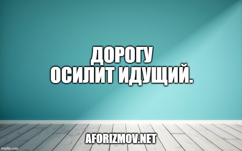 Дорогу осилит идущий.