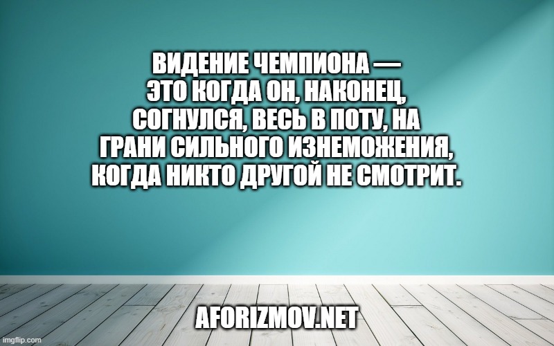 Видение чемпиона — это когда он, наконец, согнулся, весь в поту, на грани сильного изнеможения, когда никто другой не смотрит.