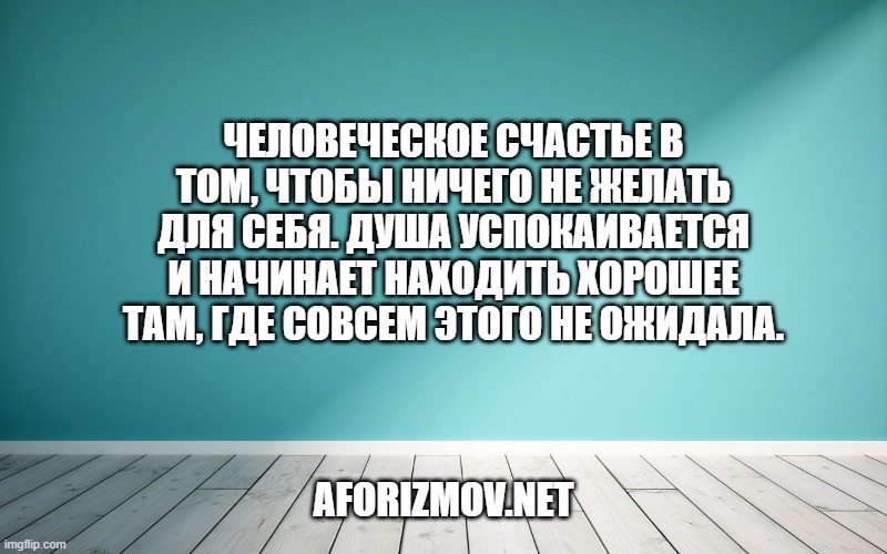 Человеческое счастье в том, чтобы ничего не желать для себя. Душа успокаивается и начинает находить хорошее там, где совсем этого не ожидала.