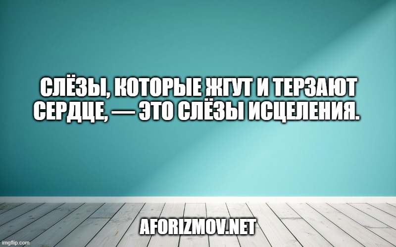 Слёзы, которые жгут и терзают сердце, — это слёзы исцеления. 