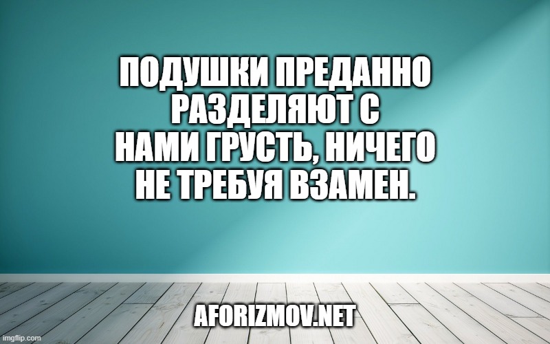 Подушки преданно разделяют с нами грусть, ничего не требуя взамен.