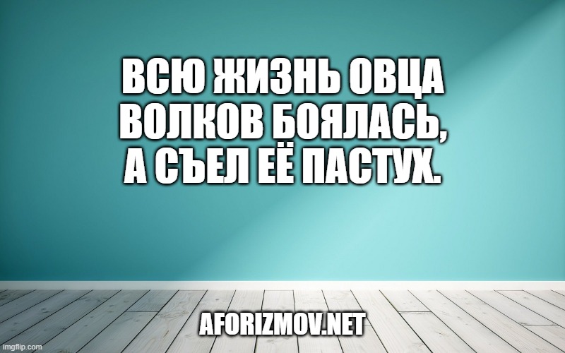 Всю жизнь овца волков боялась, а съел её пастух.