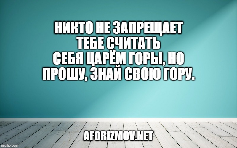 Никто не запрещает тебе считать себя царём горы, но прошу, знай свою гору.
