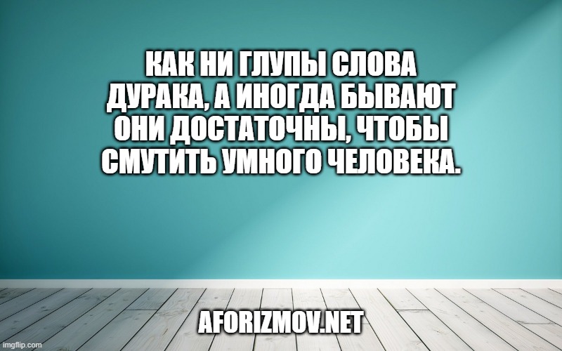 Как ни глупы слова дурака, а иногда бывают они достаточны, чтобы смутить умного человека.